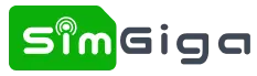 Agency Simgiga